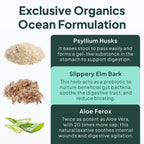 Organics Ocean Better Fiber – Daily Fiber Supplement

