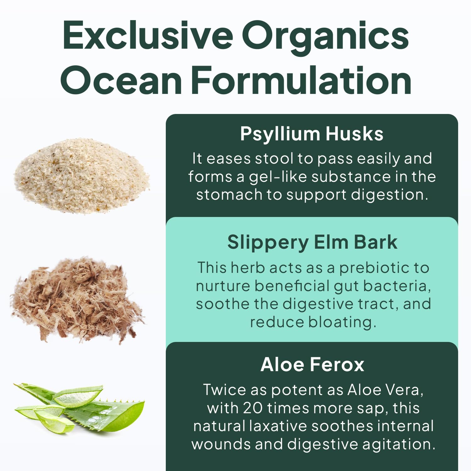 Organics Ocean Better Fiber – Daily Fiber Supplement

