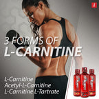 iSatori L-Carnitine LS3 3000 Triple-Blend Liquid

