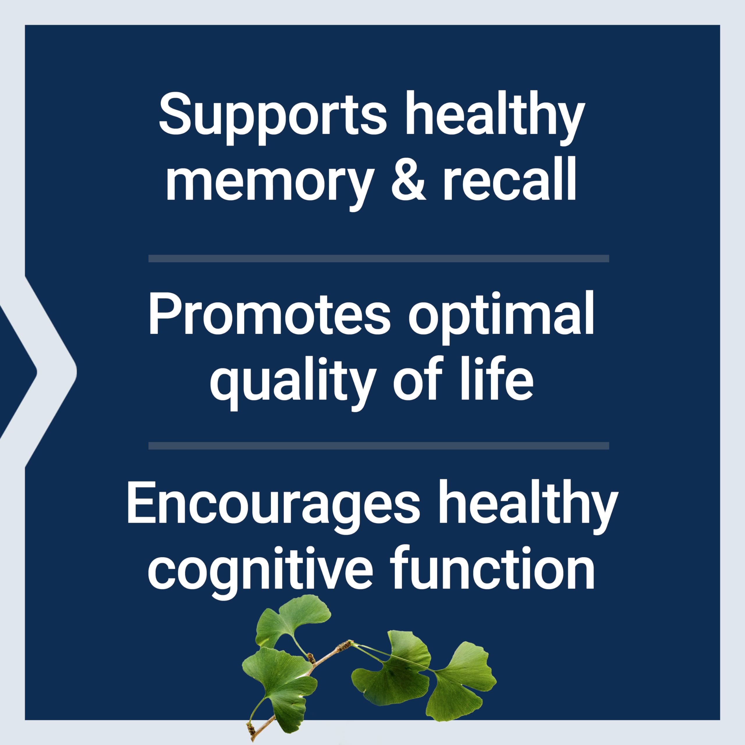 Life Extension Ginkgo Biloba Extract | Memory Support

