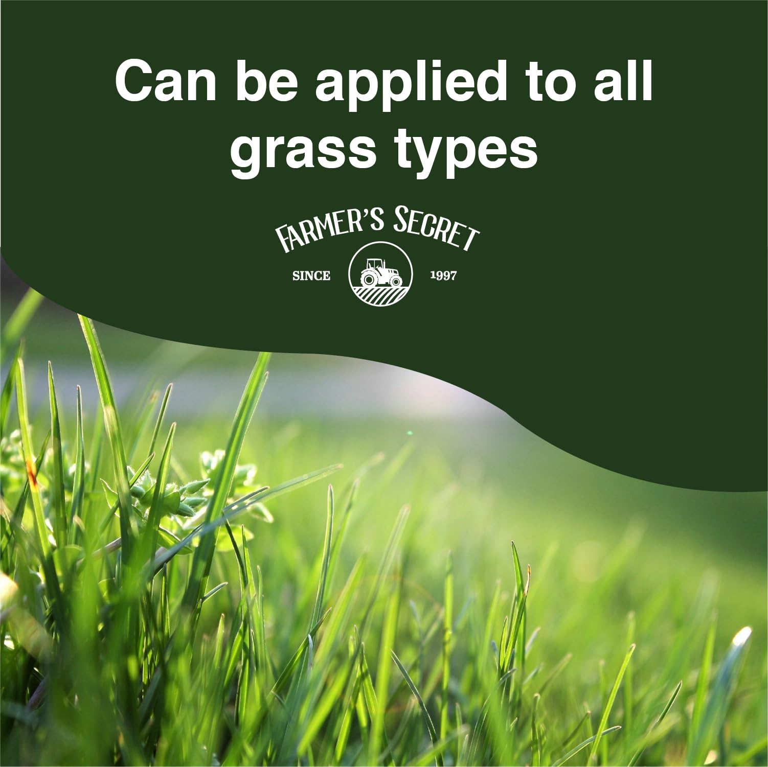 Farmer’s Secret Chelated Liquid Iron for Lawns | Shop Now

