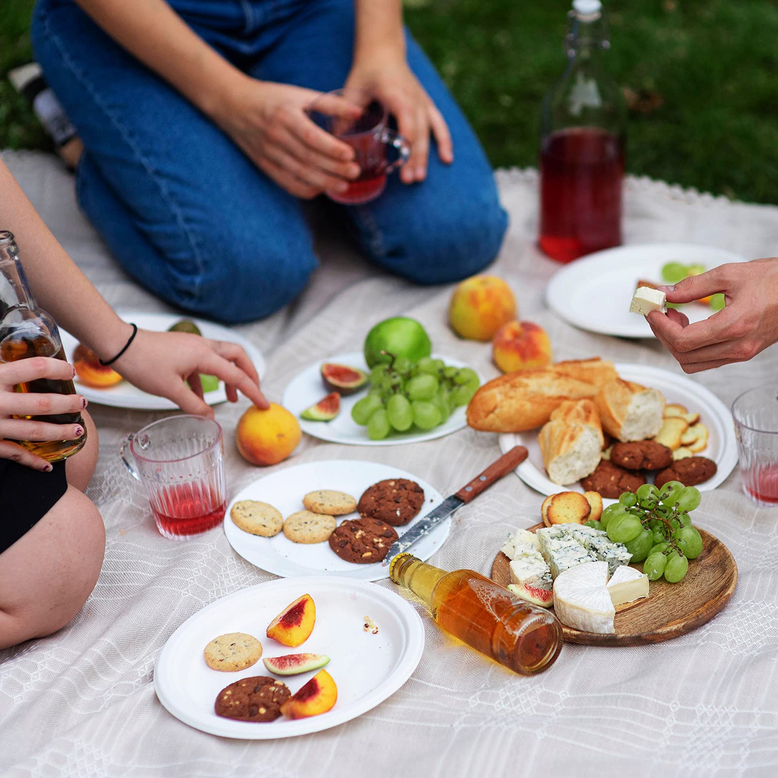 Vplus Compostable Disposable Dinner Plates

