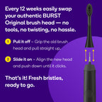 BURST Replacement Heads for Original Sonic Toothbrush

