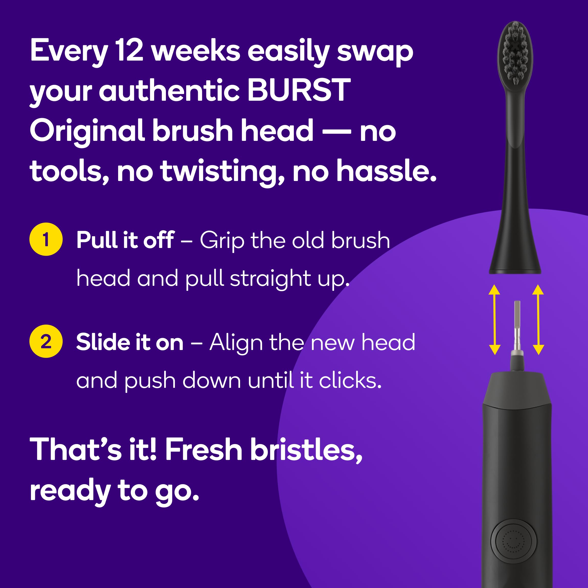BURST Replacement Heads for Original Sonic Toothbrush

