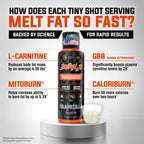 Alpha Lion L-Carnitine Liquid Burn2O 2000mg | Fat Burner

