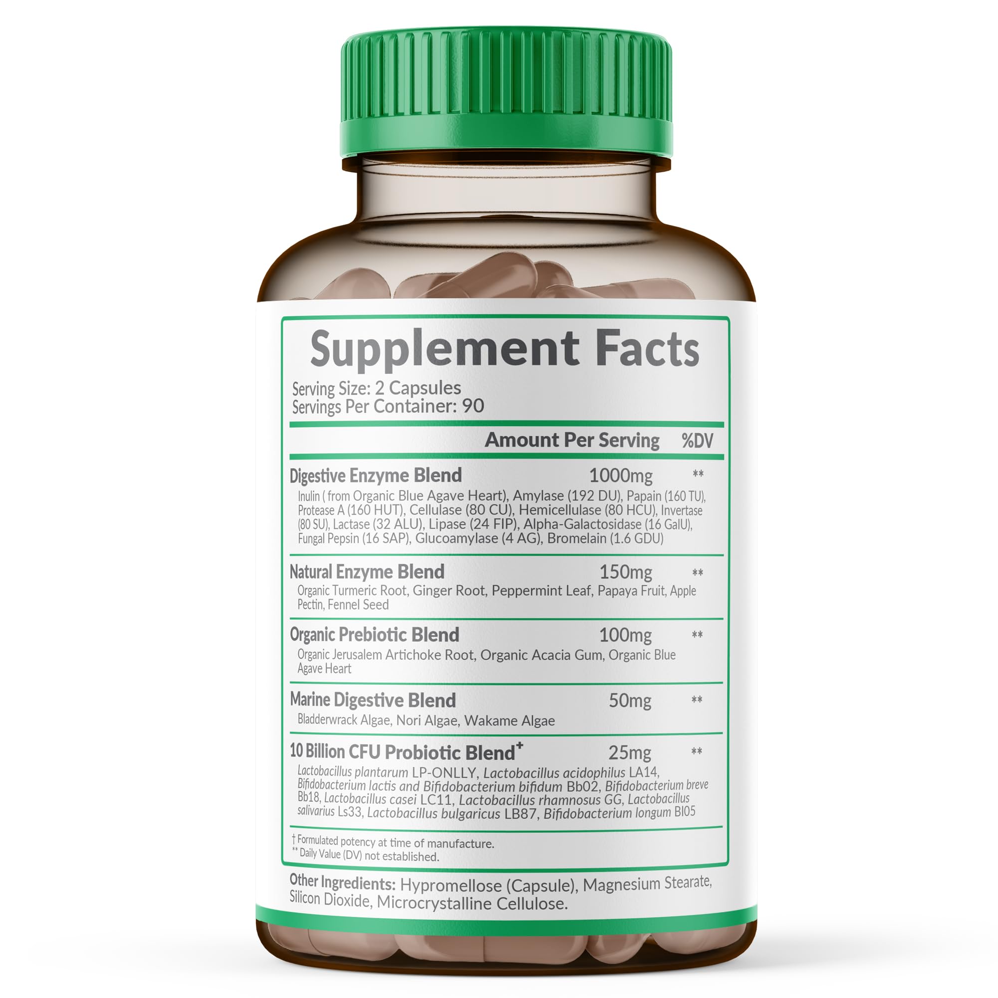 Wholesome Wellness Digestive Enzymes with Probiotics

