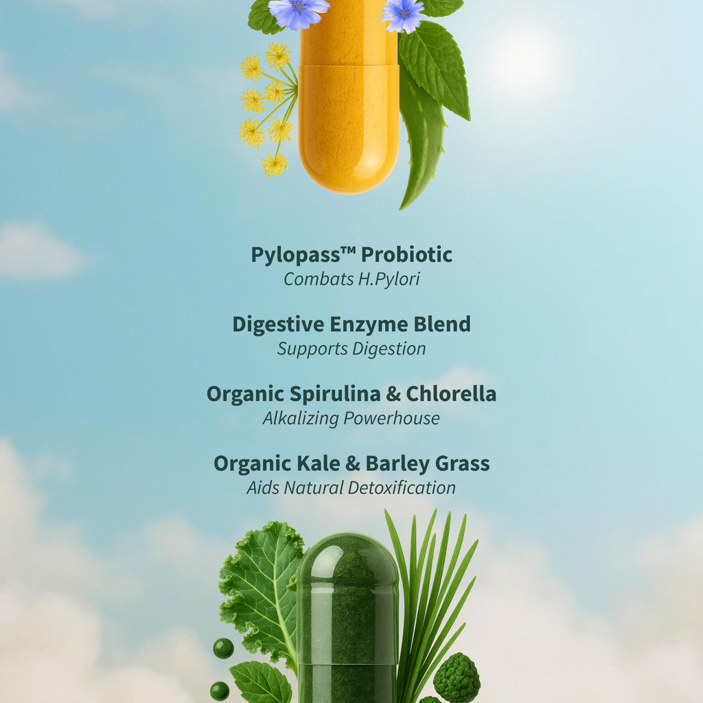 Gut Health Lipase & Greens Bundle - Snap Supplements

