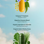Gut Health Lipase & Greens Bundle - Snap Supplements


