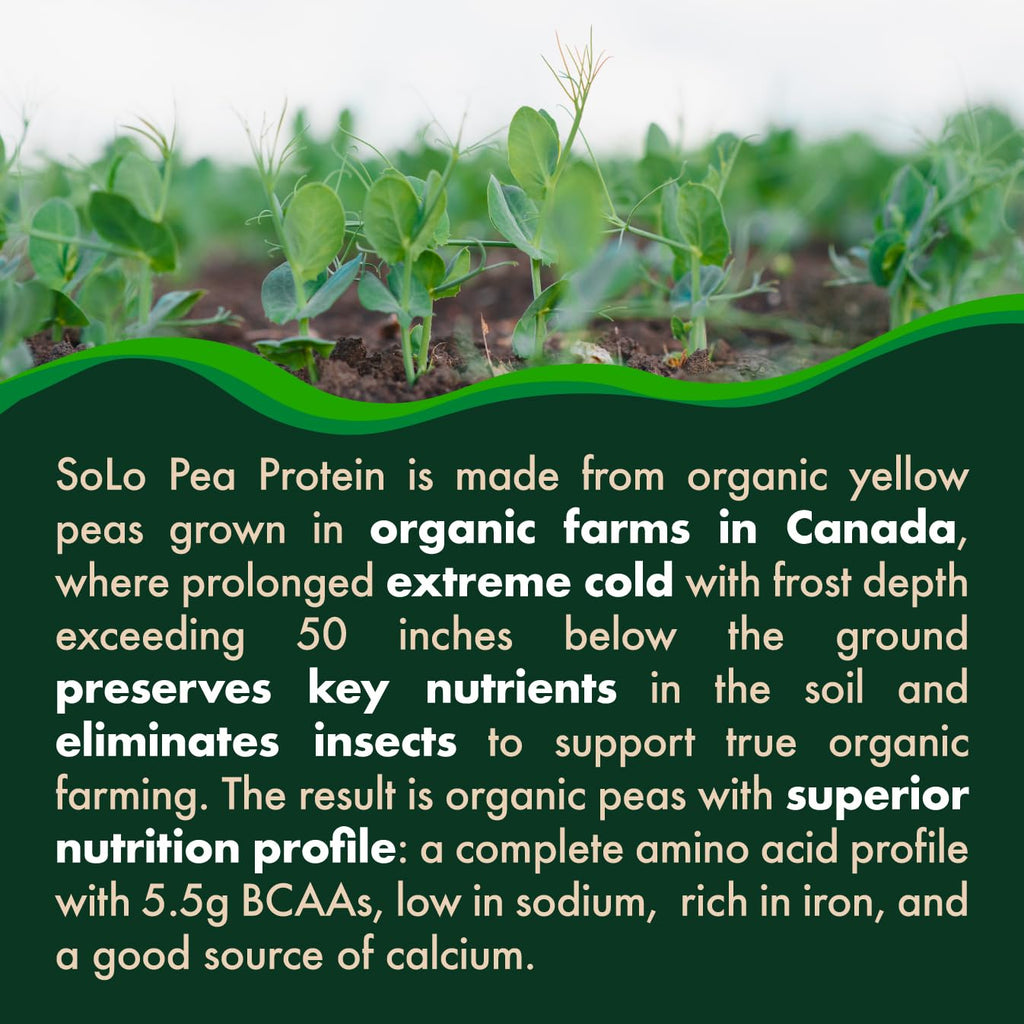 SOLO Organic Pea Protein Isolate Unflavored Plant Protein

