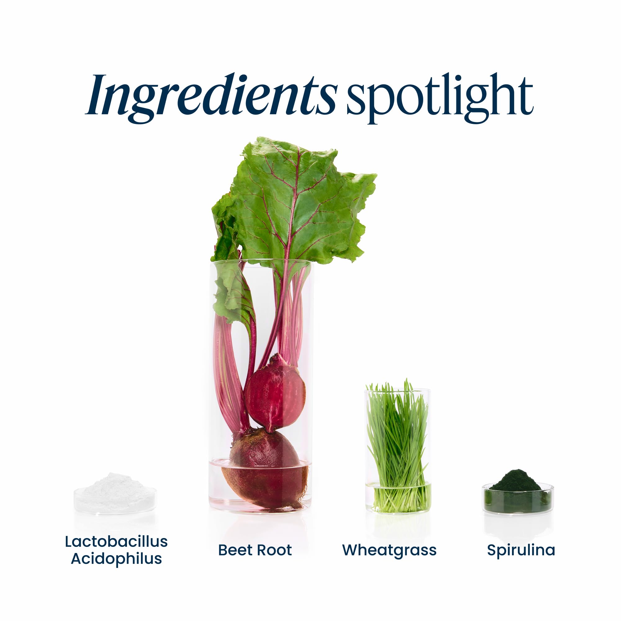 Vibrant Health Green Vibrance Plant-Based Superfood

