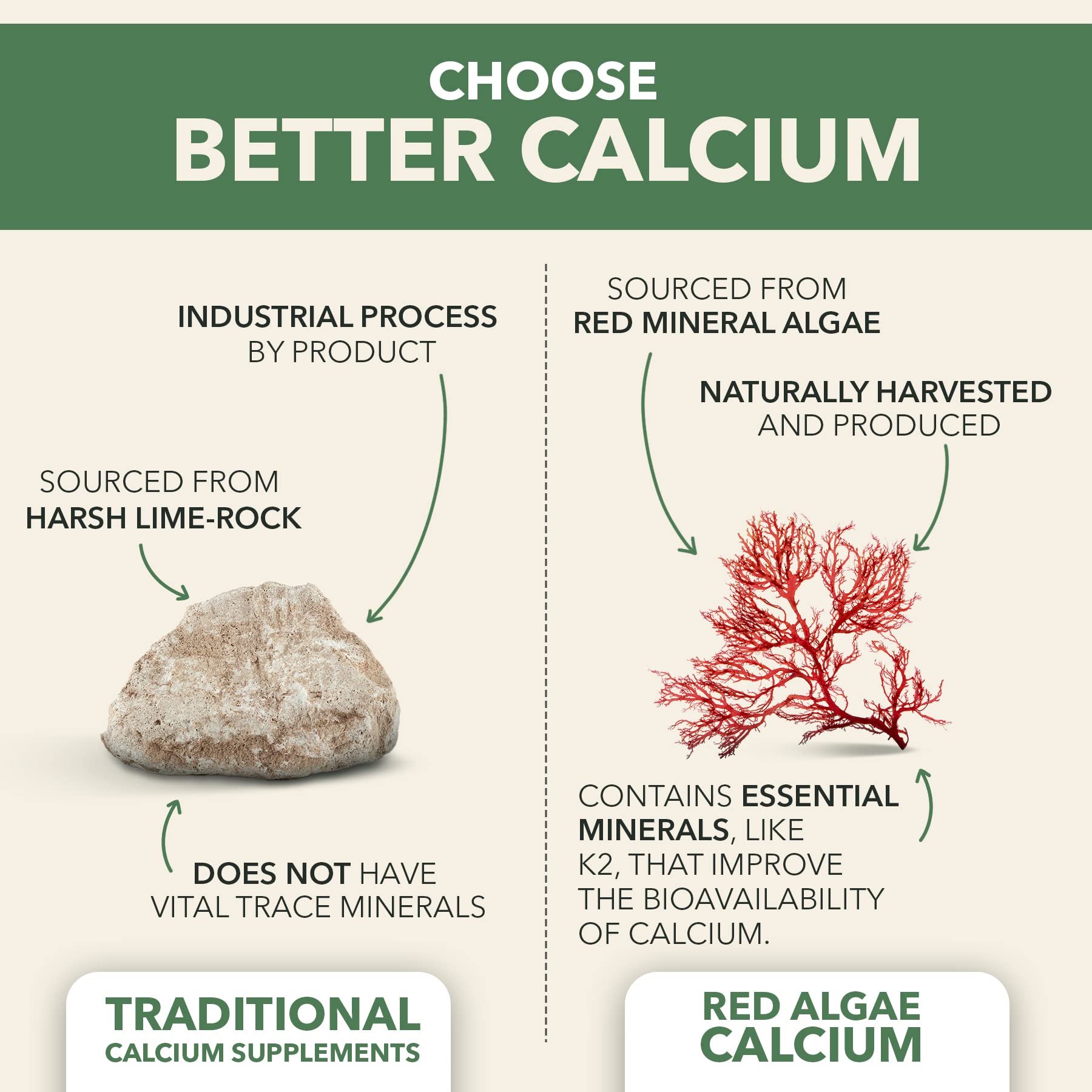 PlantFusion Vegan Calcium Magnesium with D3 K2 Aquamin

