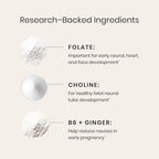 Perelel Prenatal Multivitamin with Folate & Omega-3

