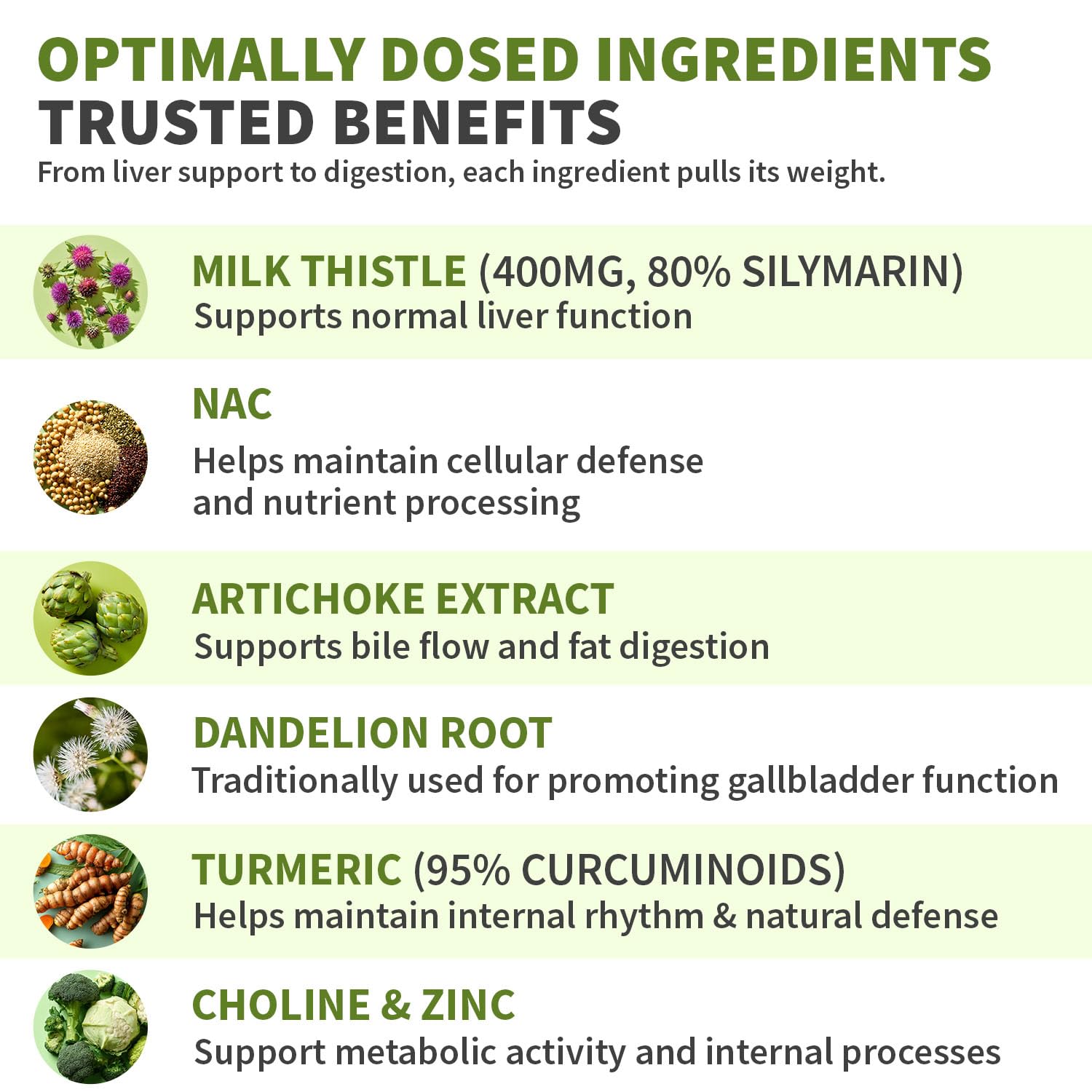 Milk Thistle Liver Support with NAC – Vegan Capsules

