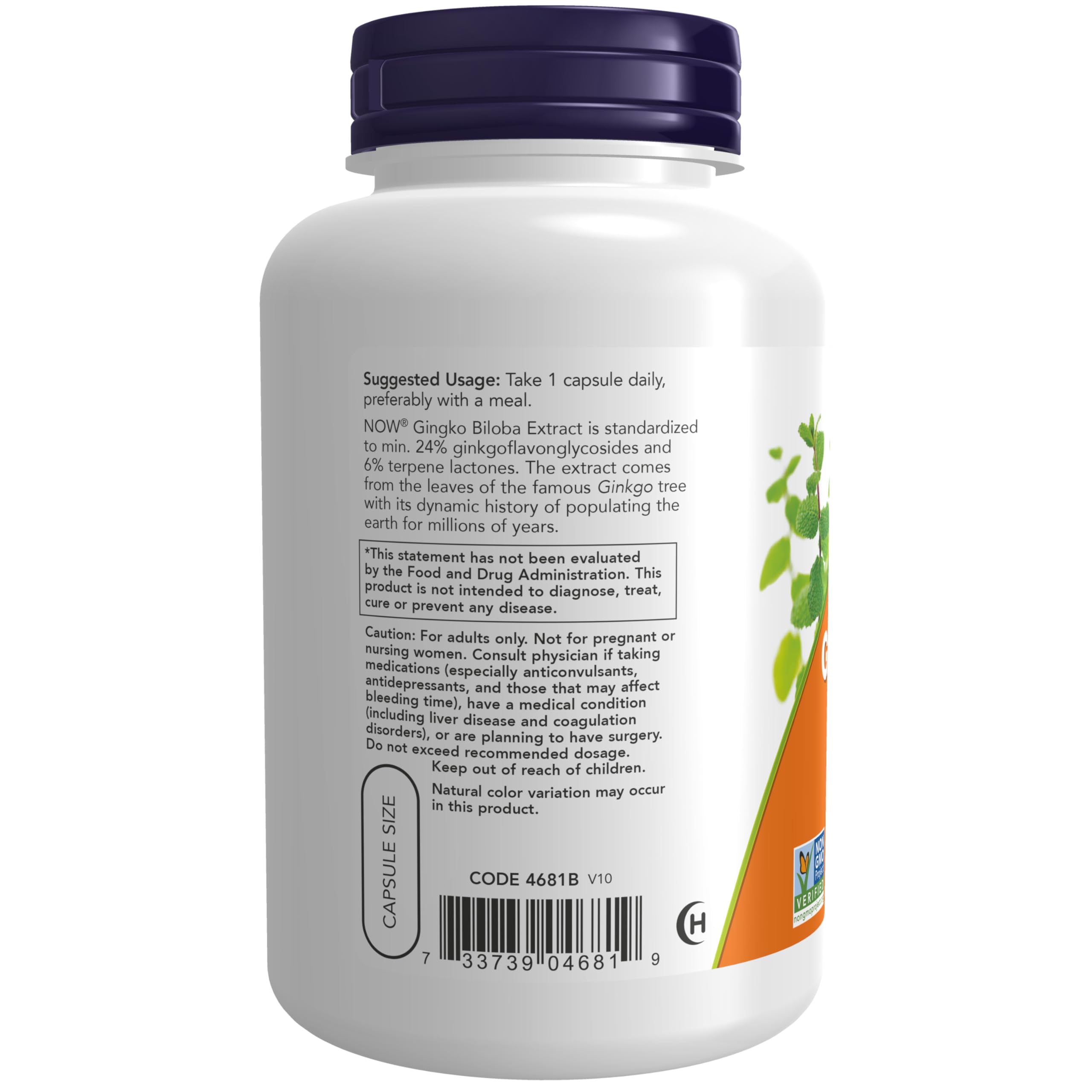 NOW Ginkgo Biloba Double Strength 120 mg Veg Capsules

