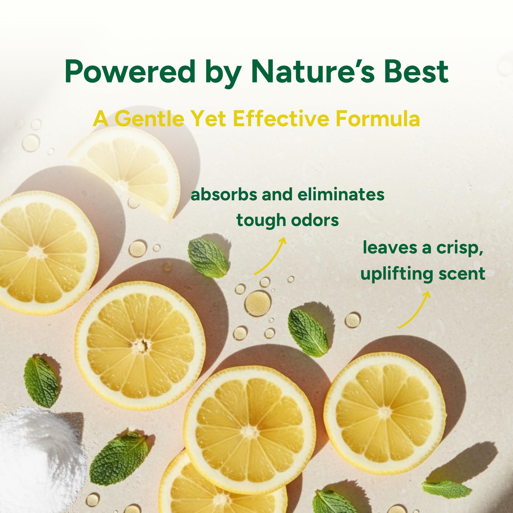 Carpet Deodorizer by Good Natured Brand – Freshener Powder

