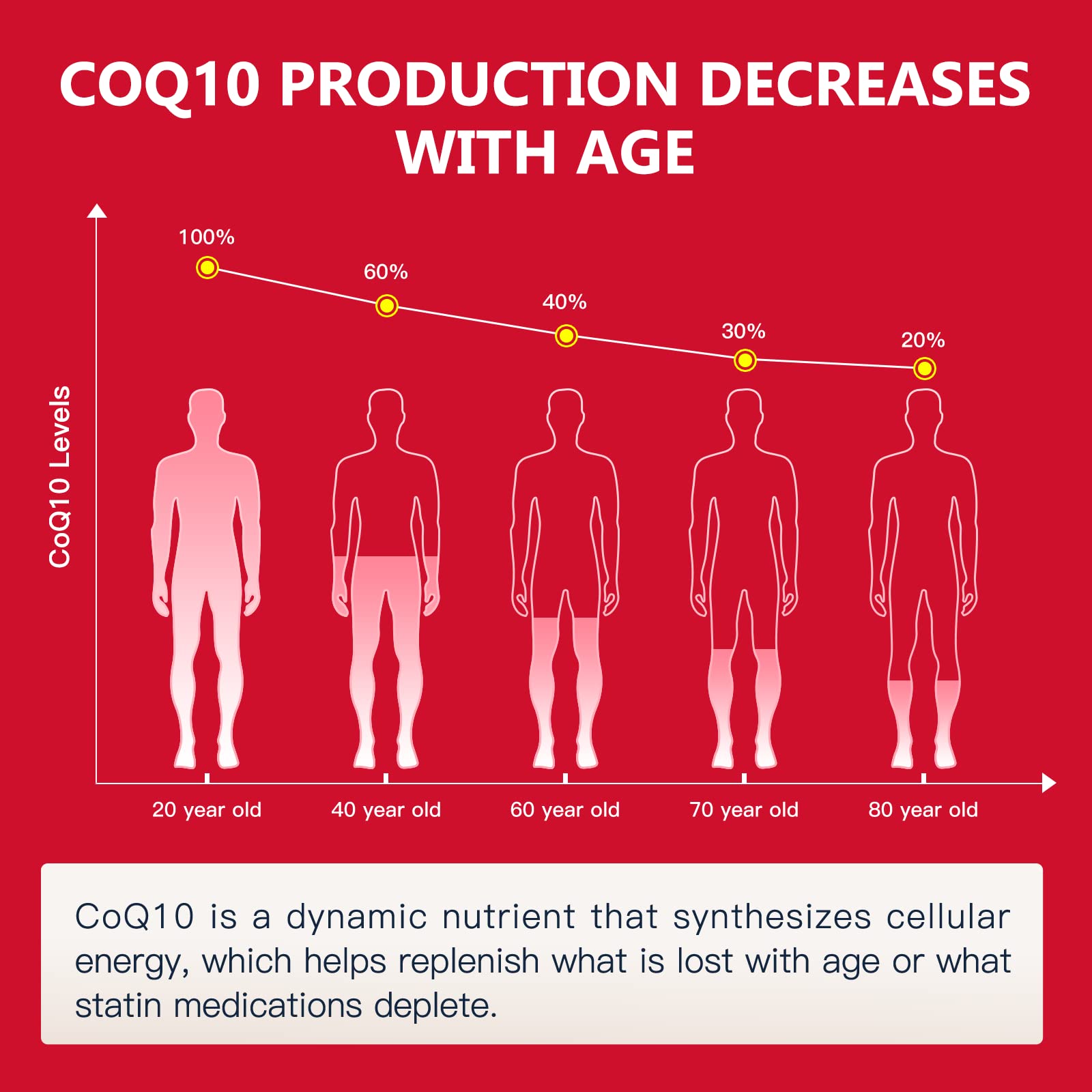 Nature Target CoQ10 Supplement for Heart Health and Energy

