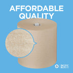 Recycled Paper Towel Rolls GP PRO High-Capacity

