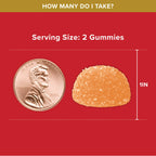 Qunol CoQ10 Gummies 100mg Ultra High Absorption

