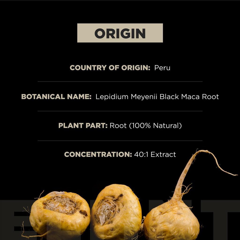 ELMNT Herbal Dietary Supplement Capsule

