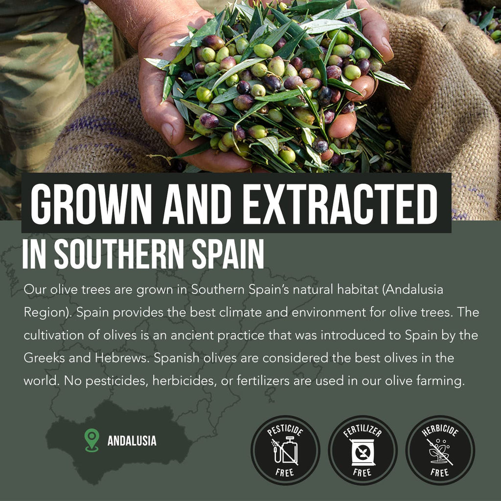 Olive Leaf Extract & Olive Fruit Extract by Total Olive

