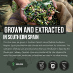 Olive Leaf Extract & Olive Fruit Extract by Total Olive

