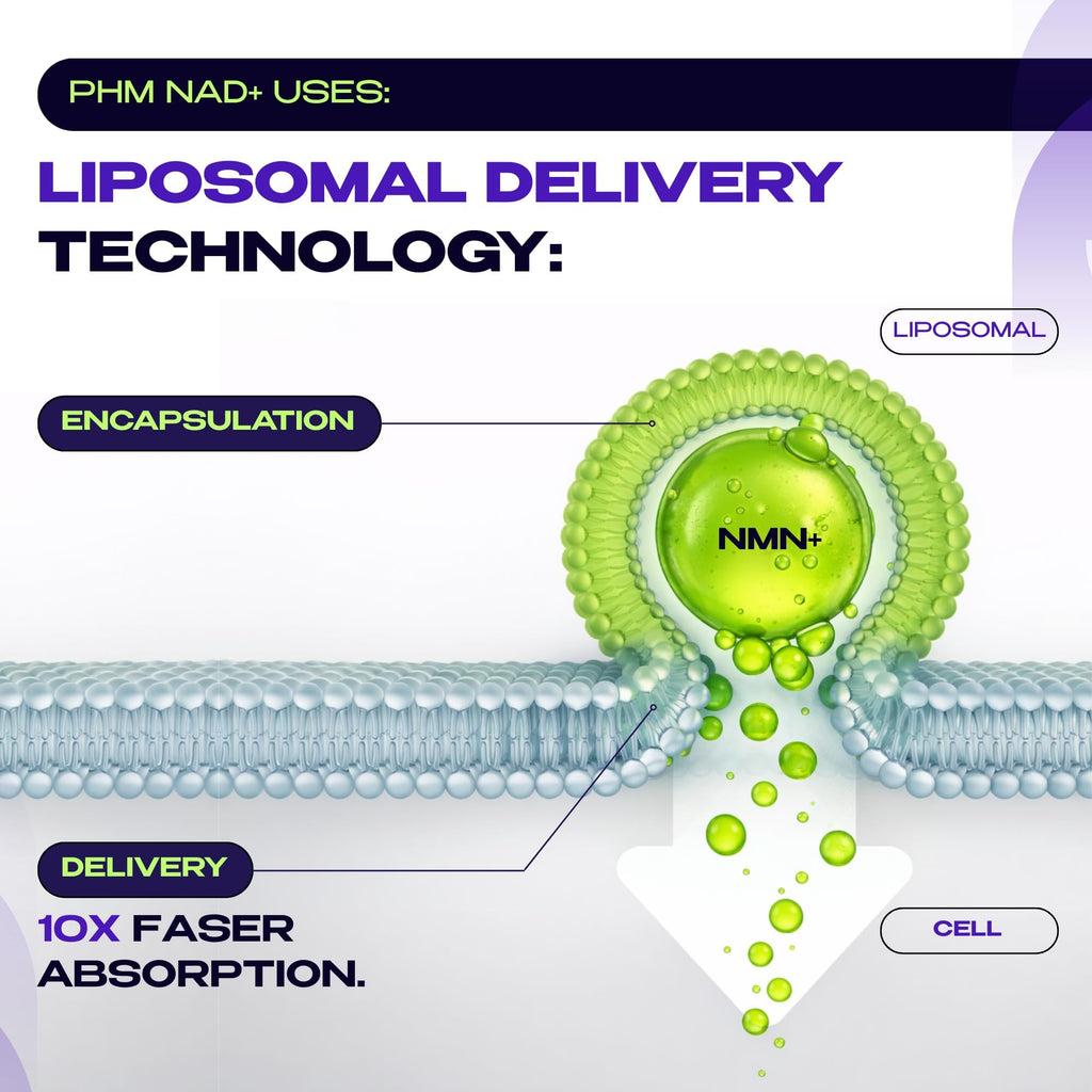 NMN NAD+ Resveratrol Supplement for Cellular Energy

