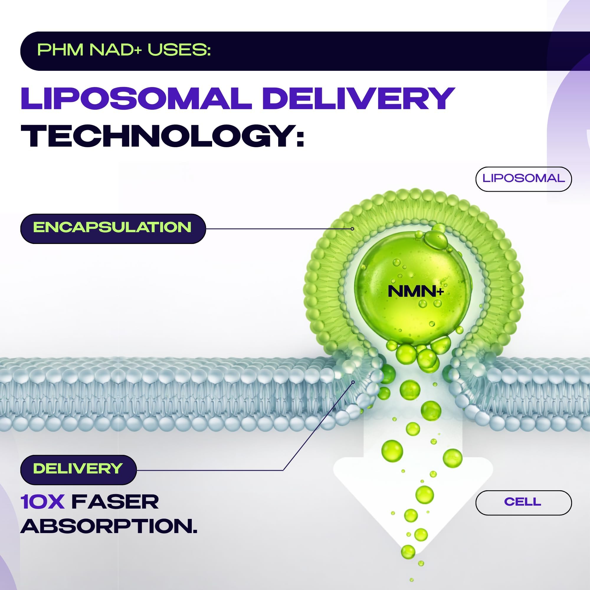 NMN NAD+ Resveratrol Supplement for Cellular Energy

