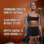 Jacked Factory Burn-XT Fat Burner Studied Metabolism

