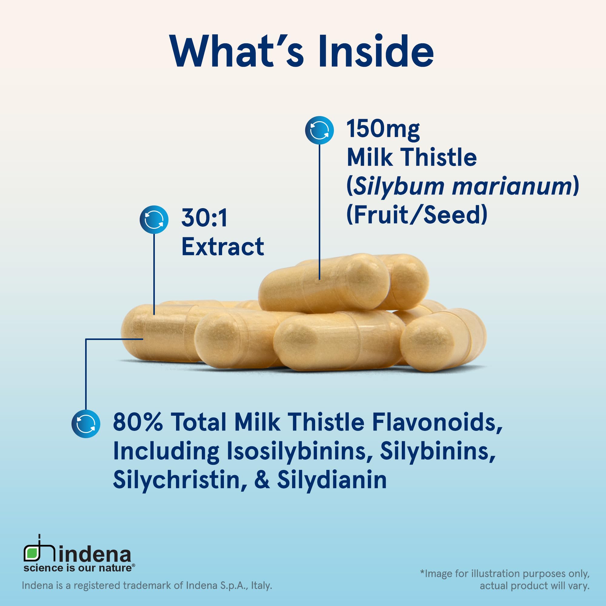 Jarrow Milk Thistle 150 mg 30:1 Liver Support

