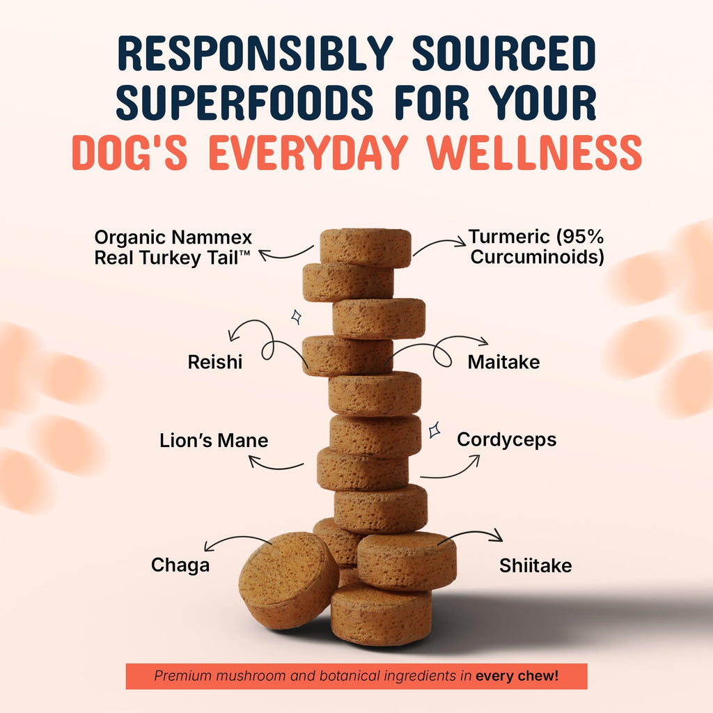 Turkey Tail Mushroom Dog Supplement by Pets are Kids

