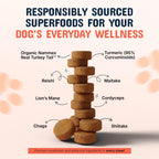 Turkey Tail Mushroom Dog Supplement by Pets are Kids

