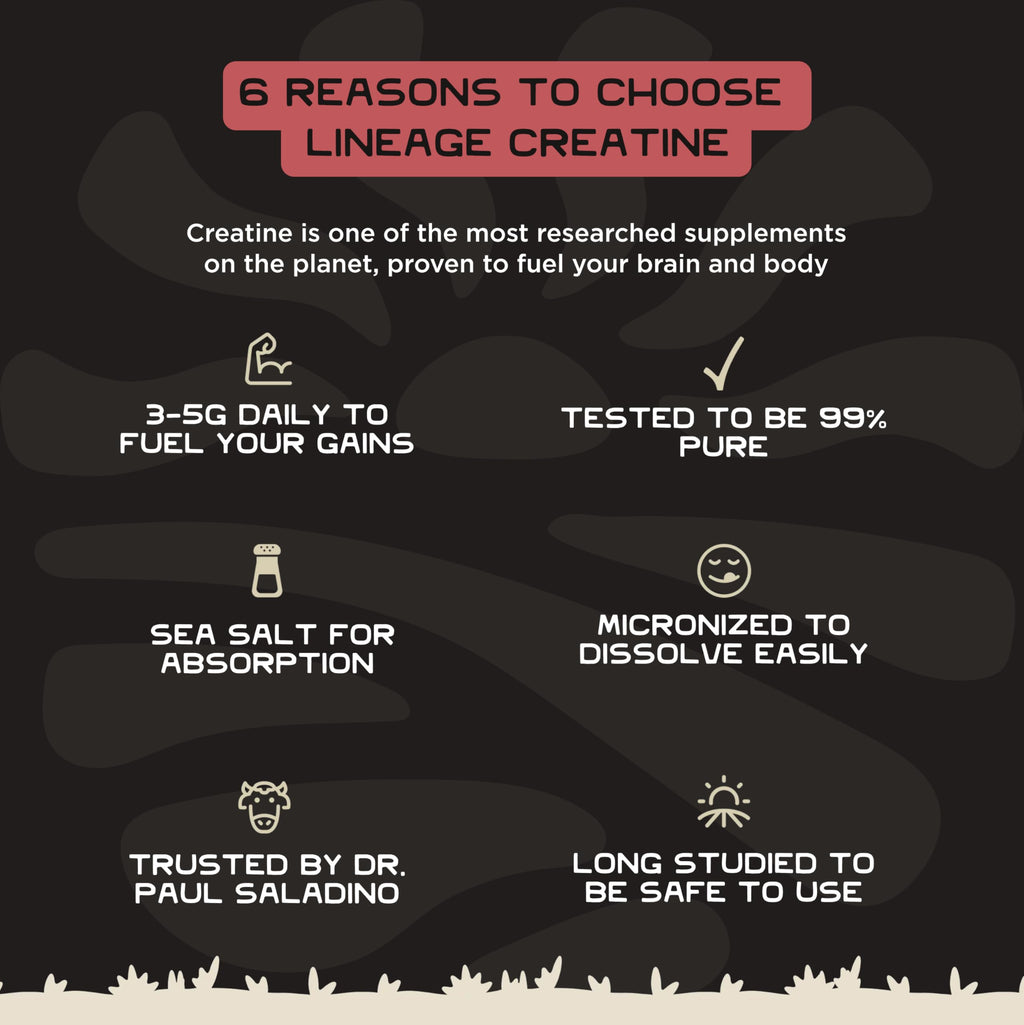 Lineage Provisions Creatine Monohydrate Micronized Sea Salt

