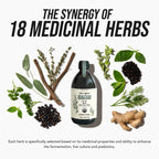 Flora Biome Probiotic Prebiotic Postbiotic Organic Wellness

