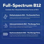 BioActive Vitamin B Complex by Triquetra Health


