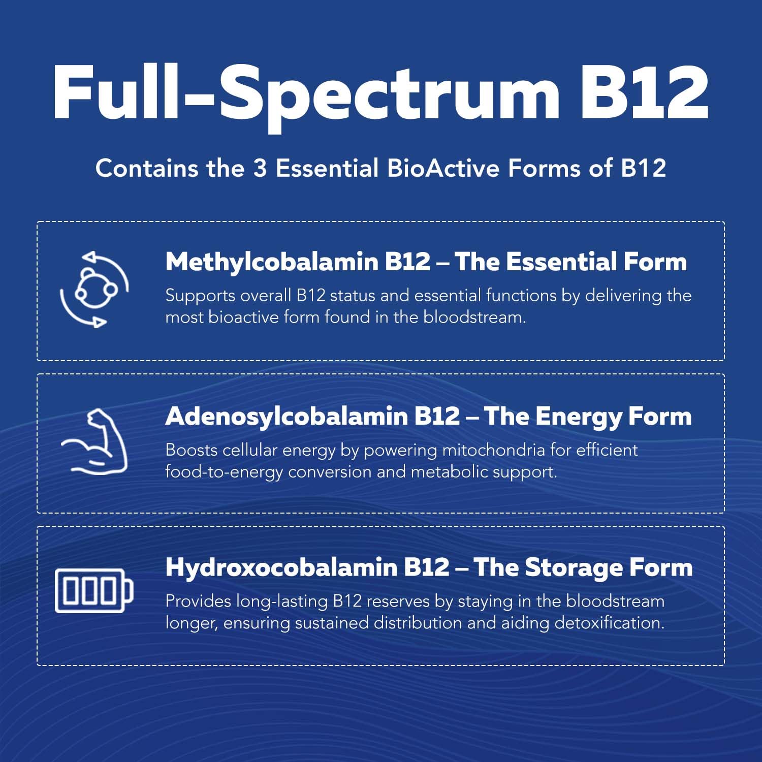 BioActive Vitamin B Complex by Triquetra Health

