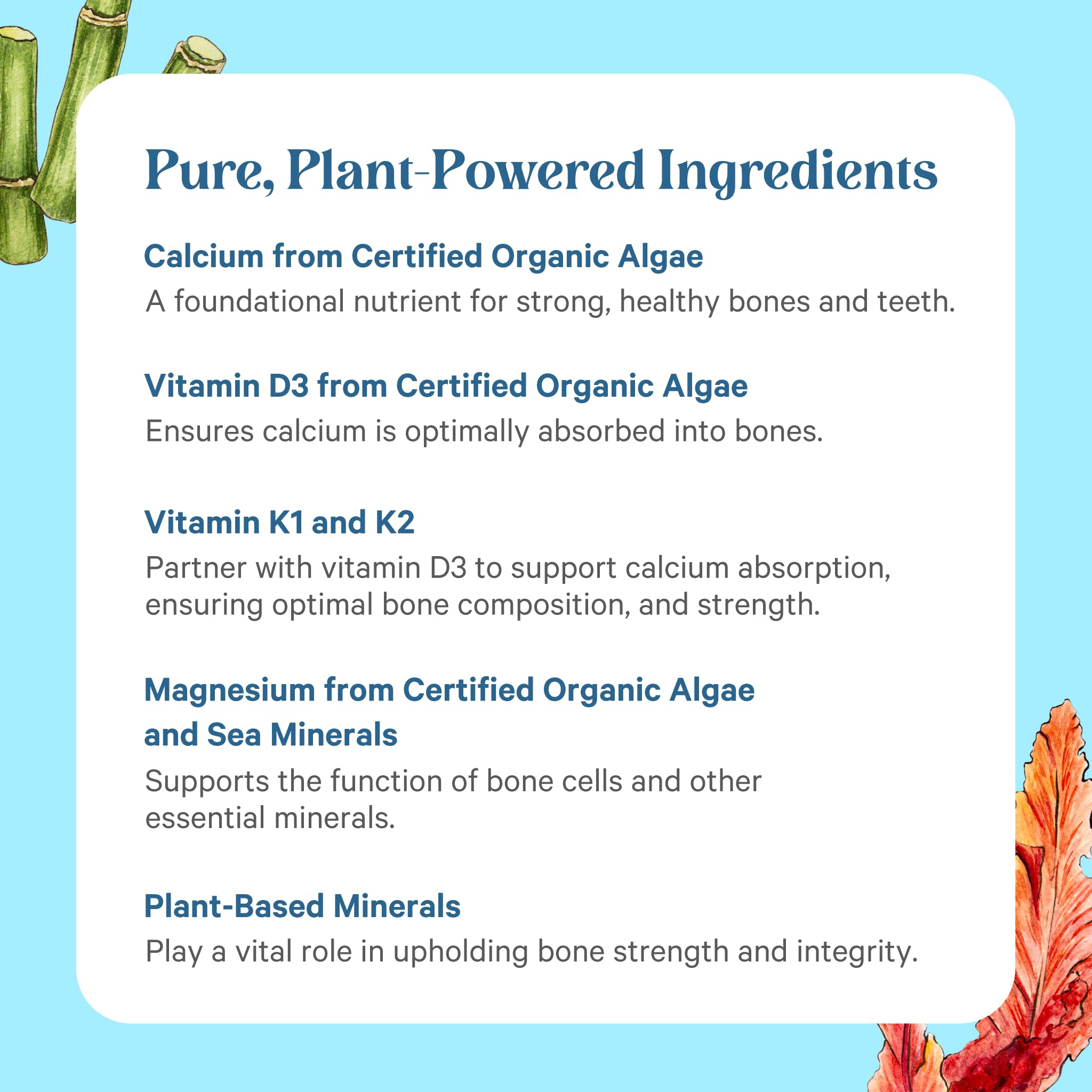 Pure Synergy Bone Renewal Bioavailable Calcium with D3 & K2

