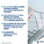 Lysol Disinfectant Spray for Hard Surfaces Bleach-Free

