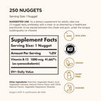 Solgar Vitamin B12 Sublingual 1000 mcg - Energy Support

