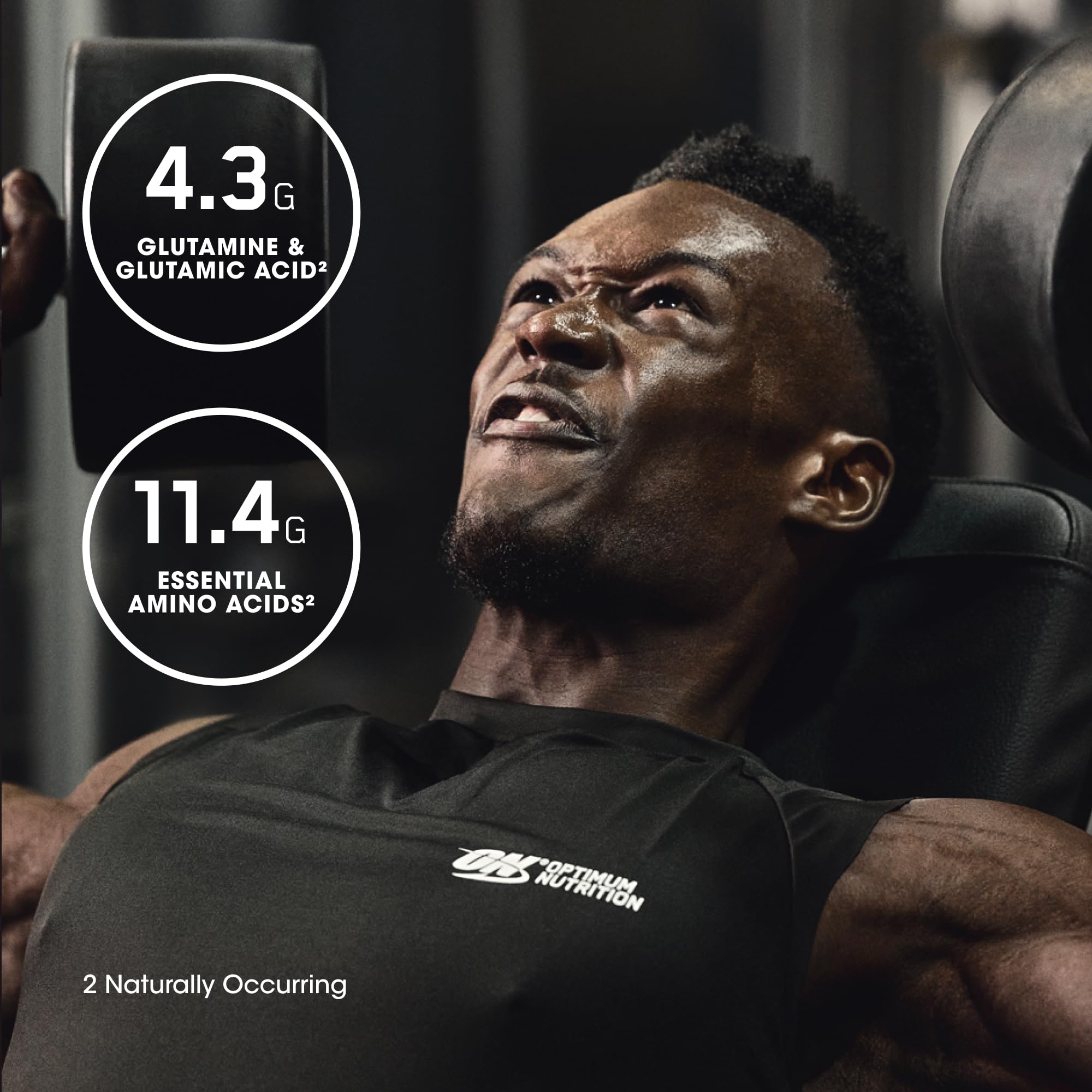 Optimum Nutrition Gold Standard 100% Isolate Whey Protein

