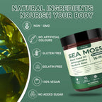 Sea Moss Gummies with Bladderwrack – Immune & Digestion

