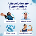 TRU NIAGEN NAD+ NR Supplement | Patented NAD+ Support

