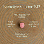Vitamin B12 New Chapter Fermented 1,000 mcg Supplement

