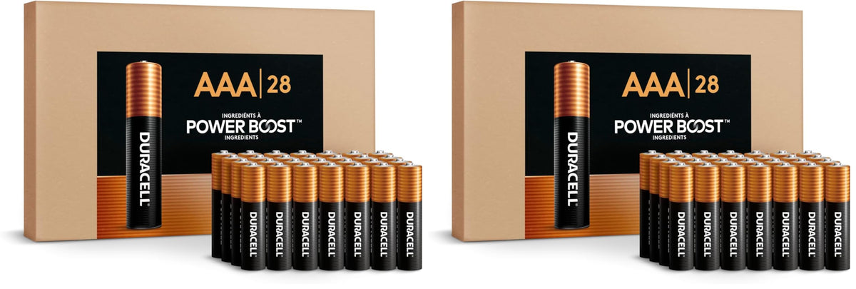 Duracell Coppertop Alkaline Batteries with Power Boost Reclosable