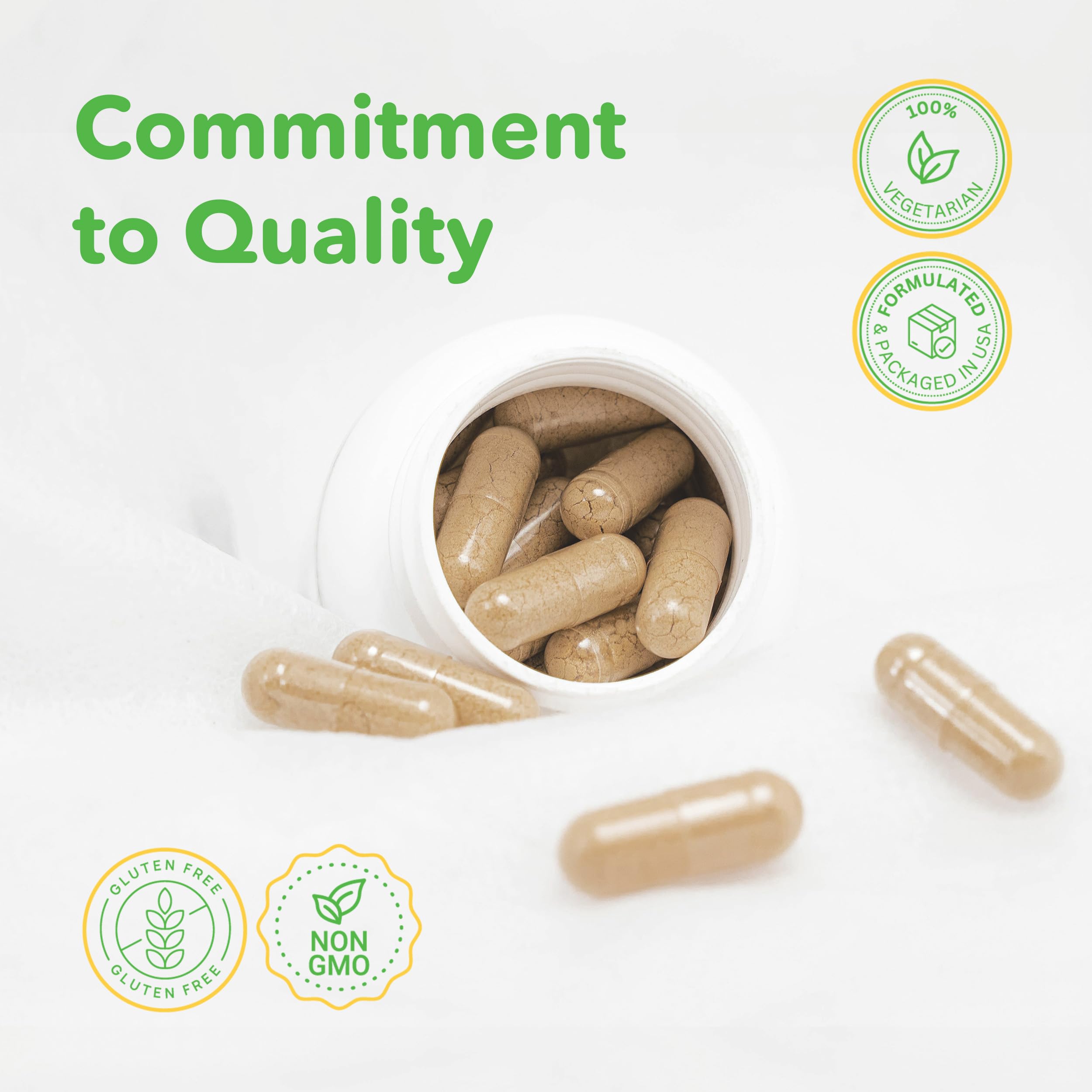 VITASUPPORTMD Lymphatic Formula 1000mg Capsules

