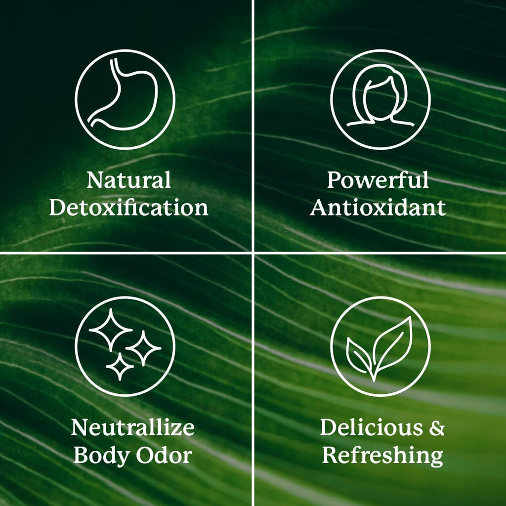Nature's Sunshine Chlorophyll Stick Packs Detox & Digestive

