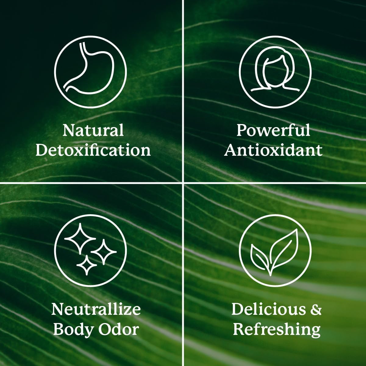Nature's Sunshine Chlorophyll Stick Packs Detox & Digestive

