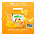 Sea Moss Gel by EverSmith Organics | USA Made


