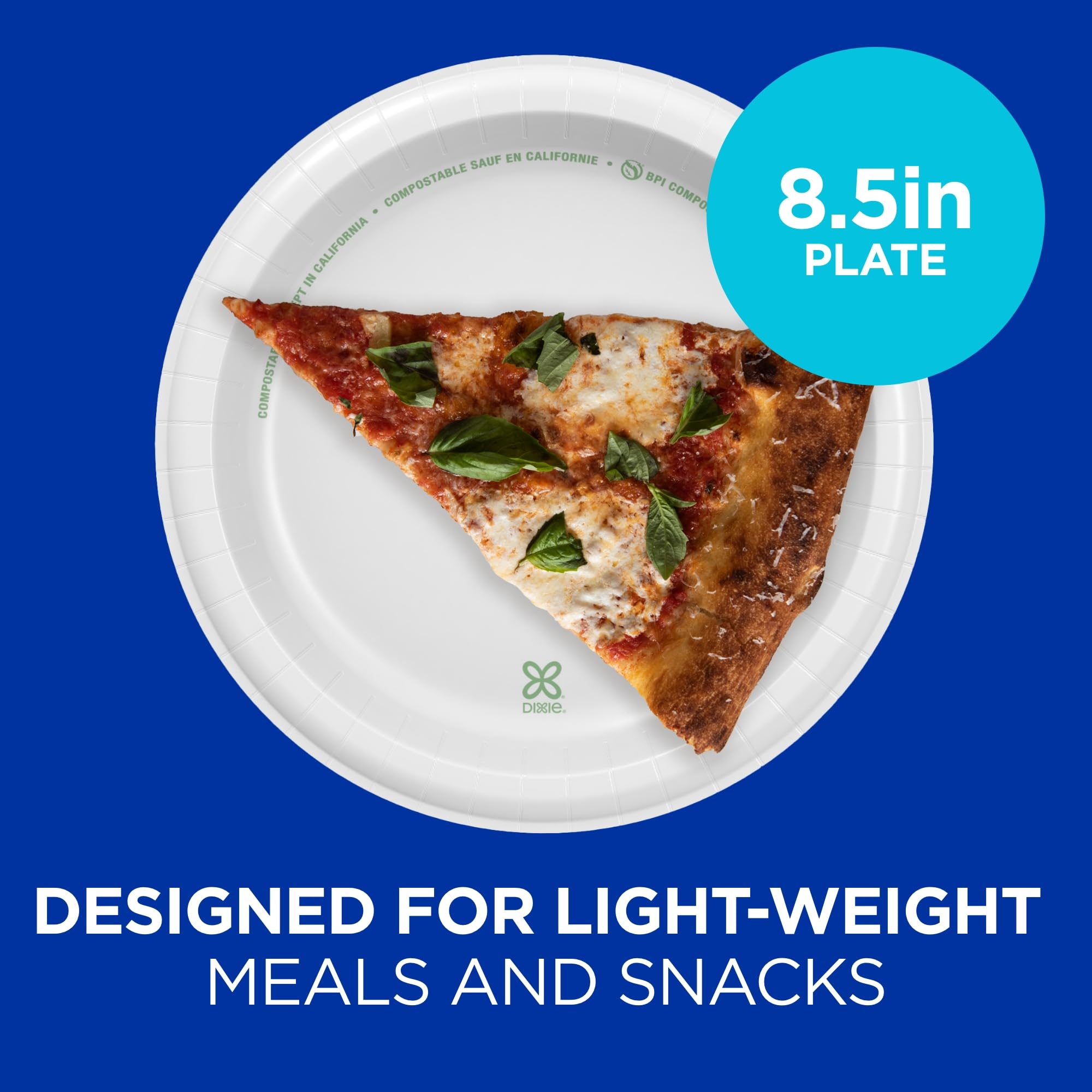 Dixie Basic Disposable Paper Plates by GP PRO - Soak-Proof

