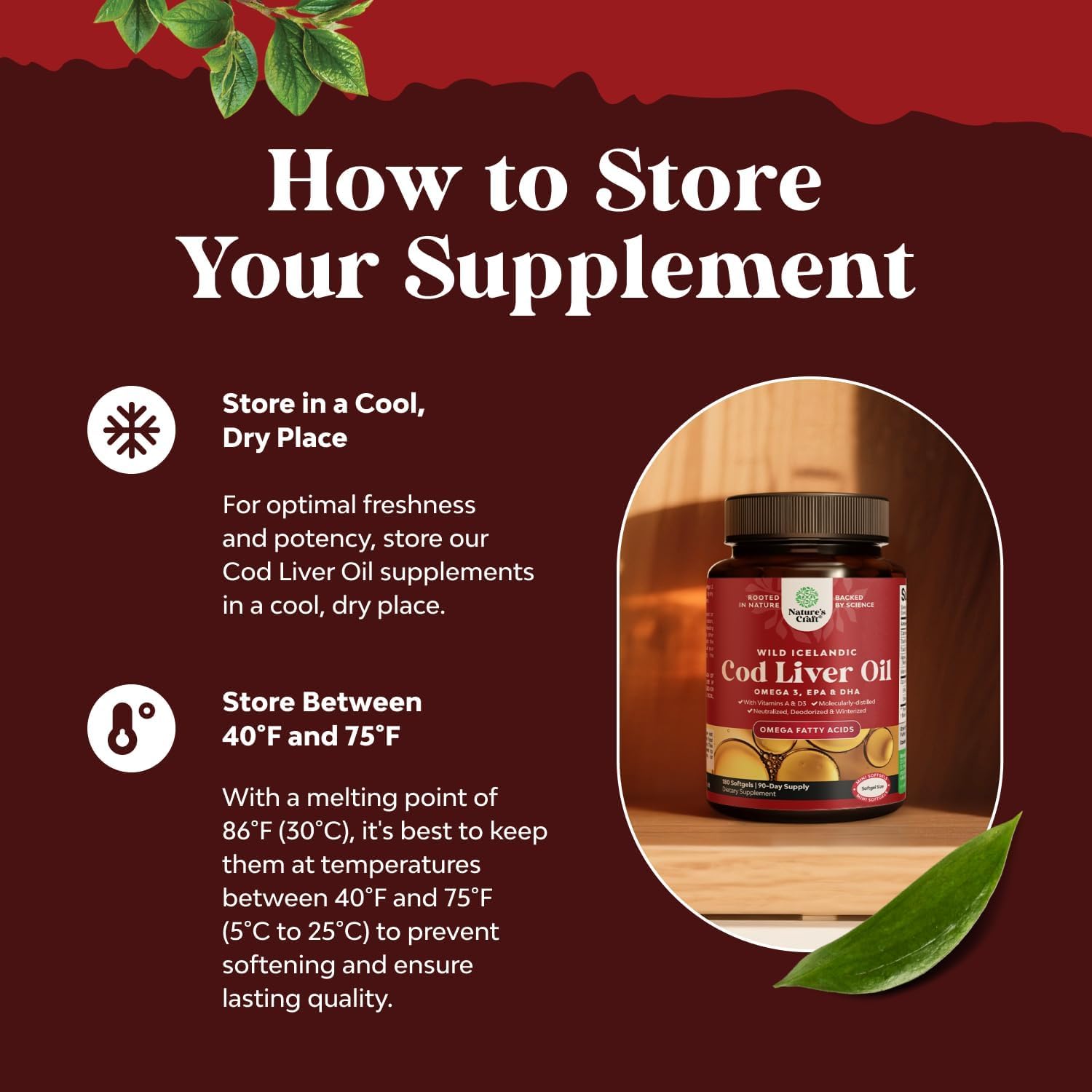 Nature's Craft Cod Liver Oil Softgels - Omega-3

