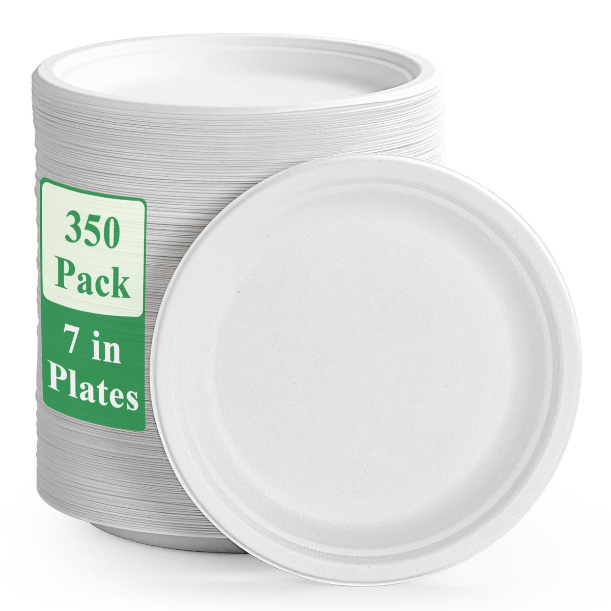 Vplus Compostable Disposable Dinner Plates
